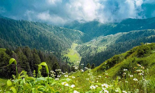 Dalhousie